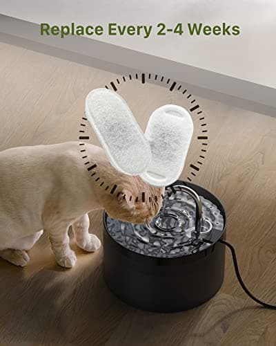 Filtres Fontaine a Eau Chat GIOTOHUN - Filtre Fontaine Eau Chat - Filtres de Filtration Multiple pour Chat