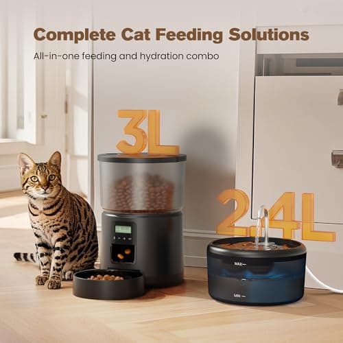 Distributeur Croquettes Chat Automatique Fontaine Eau 2,4L 3L Mangeoire Programmable Noir