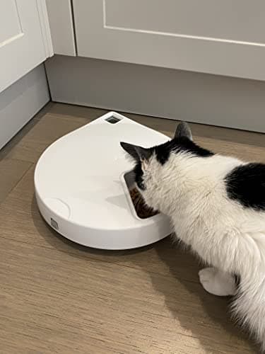 Cat Mate C500 Distributeur Automatique – Fonctionnalités Avancées et Bols INOX, Idéal pour Chats, Adapté à la Nourriture
