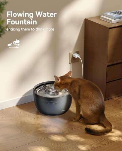 Fontaine à Eau Silencieuse pour Chats FEELNEEDY 3L Distributeur Automatique Avec Filtrage Charbon - Gamelle Acier Inoxyd