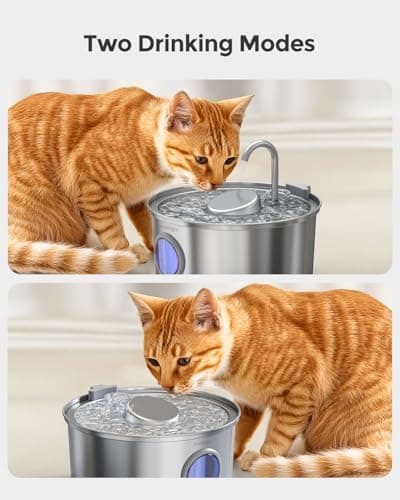 Invengo MeowFlow B40P Fontaine à Eau pour Chats - 3,2 L Acier Inoxydable, 2 Modes d’écoulement, Côtés Anti-éclaboussures