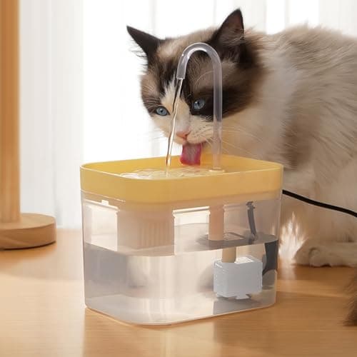 Fontaine à Eau Automatique 1,5L pour Chat | Accessoire Silencieux d'Hydratation Silencieux pour Chiens et Chats de Toute