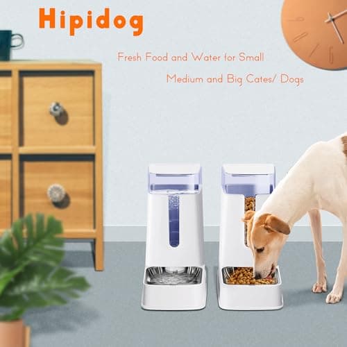 Set de distributeur d'aliment et d'eau pour chats et chiens avec bols en acier inoxydable | Gravité | Chats-Chiens | Cui