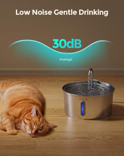 Invengo MeowFlow B40 Fontaine à Eau Chat 3,2 L, Ultra Silencieuse <30 DB, Facile à Nettoyer