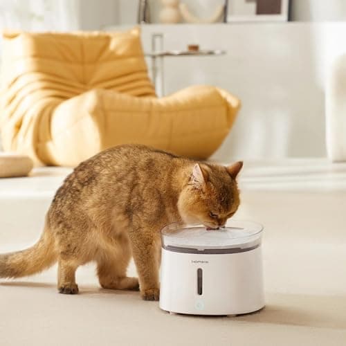 Momowin Filtration d'eau pour chat + Charbon actif + Cheveux dans l'eau