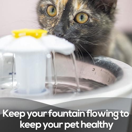 Filtres en Mousse Remplaçables Petsafe Drinkwell 360 pour Fontaine à Eau de Chat en Acier Inoxydable 12Pièce