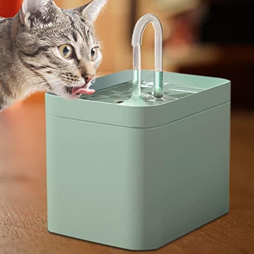 <think>
Okay, so the user wants me to modify this product title for a cat fountain. The original title is in French, and