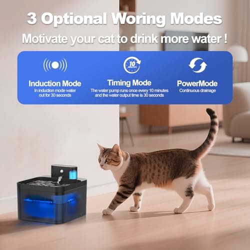 Fontaine à eau sans fil DMUUPEW pour chat, détecteur de mouvement, filtration premium