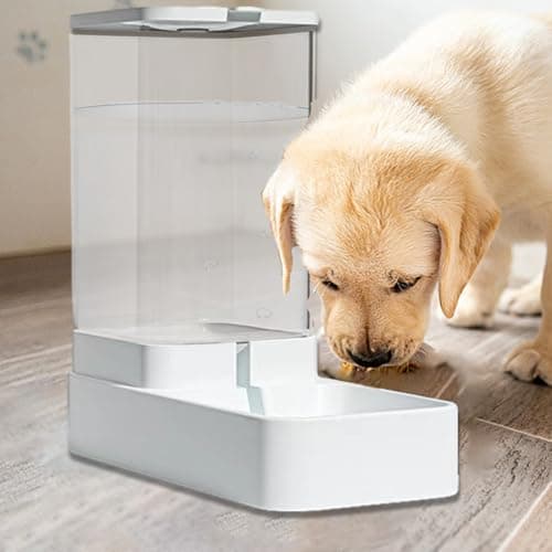 Distributeur Automatique De Croquettes pour Chiens et Chatons | Station Alimentation Voyage Intérieur, Anti-Étouffement