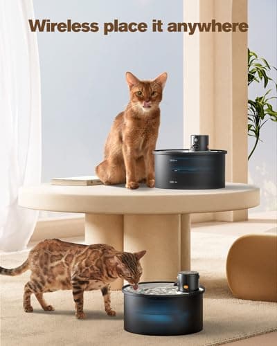 Fontaine à eau sans fil pour chat - 3,2 l - Avec 8 filtres à charbon - Détecteur de mouvement - En acier inoxydable