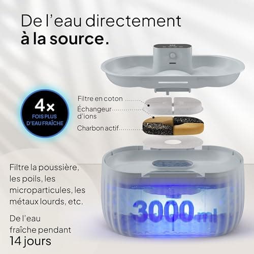 <think>
Okay, the user wants to optimize a product title for Google in French. Let's start by understanding the original