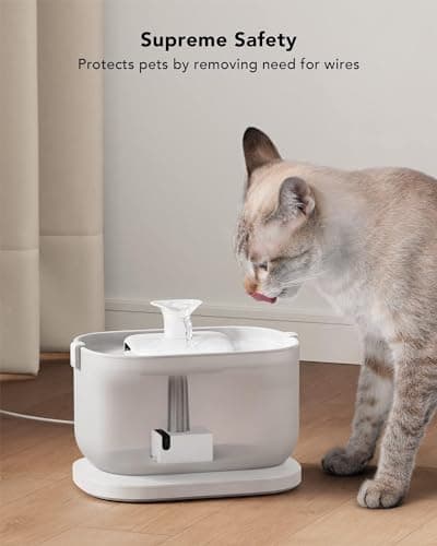 Filtre Fontaine Eau Chat Petlibro |5литers Chic, Éponges de Préfiltration Incluses, Pour Chats, Spécialement Conçu Petli