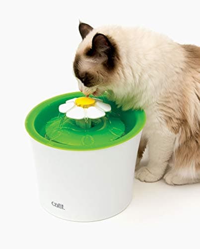 Fontaine à fleurs Cat it originale avec fenêtre de niveau d'eau, 3 L pour intérieur