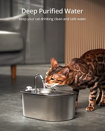 Filtres à Charbon Actif pour Fontaines à Eau de Chat, 6 Filtres + 2 Éponges Protection Pompe, Compatible Fontaine Inox