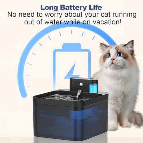 Fontaine à eau sans fil DMUUPEW pour chat, détecteur de mouvement, filtration premium
