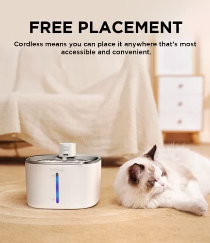 Filtres de FEELNEEDY YPD-C004 pour Chat [6 pièces] - Fontaine à Boire - Accessoire santé pour chat - Filtres interchange