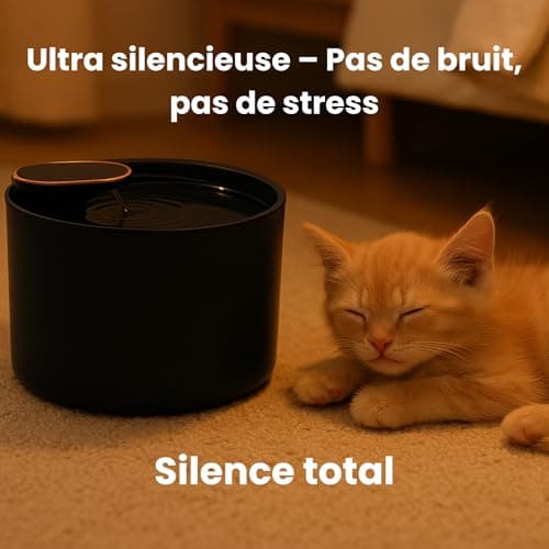 Fontaine à Eau LED pour Chat – Pompe Ultra silencieuse, 3L, Kit Complet (6 filtres, Brosse) – Distributeur sans BPA, Cer