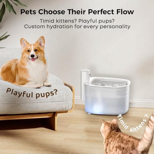 Fontaine à Eau Automatique pour Chat sans Fil - 2,6L avec Capteur de Mouvement et Batterie Réchargeable 3000mAh