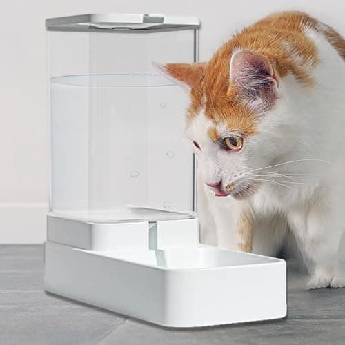 Distributeur Automatique De Croquettes pour Chiens et Chatons | Station Alimentation Voyage Intérieur, Anti-Étouffement