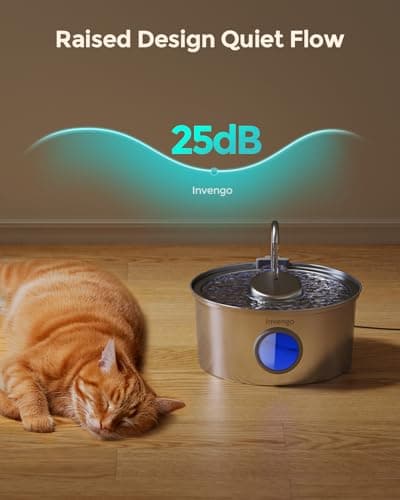 Invengo MeowFlow B40P Fontaine à Eau pour Chats - 3,2 L Acier Inoxydable, 2 Modes d’écoulement, Côtés Anti-éclaboussures