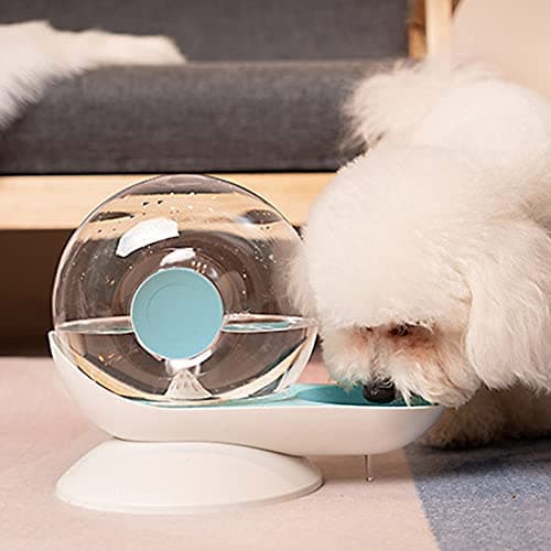 SHOPANTS fontaine à eau automatique pour chats - grand bol - sans électricité - gris