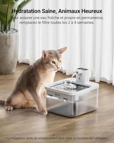Filtres DownyPaws DPWFP6 Fontaine Eau Chat 6 Pièces Charbon Actif Convient pour DPWFP6 : Filtration Avancée, Durabilité,