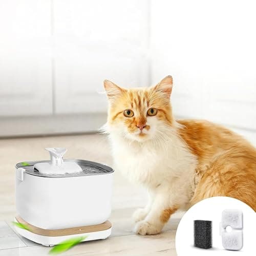 Filtre Fontaine Eau Chat Petlibro |5литers Chic, Éponges de Préfiltration Incluses, Pour Chats, Spécialement Conçu Petli