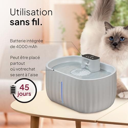 <think>
Okay, the user wants to optimize a product title for Google in French. Let's start by understanding the original