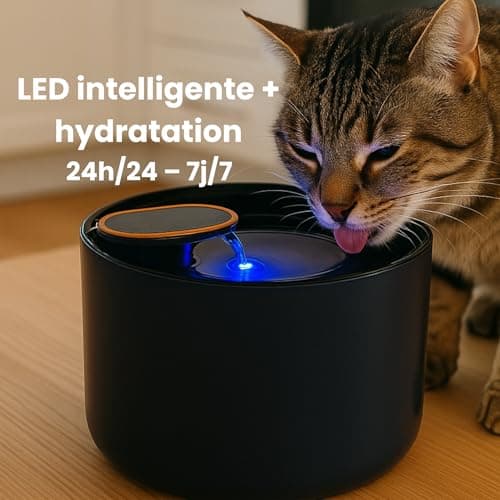 Fontaine à Eau LED pour Chat – Pompe Ultra silencieuse, 3L, Kit Complet (6 filtres, Brosse) – Distributeur sans BPA, Cer