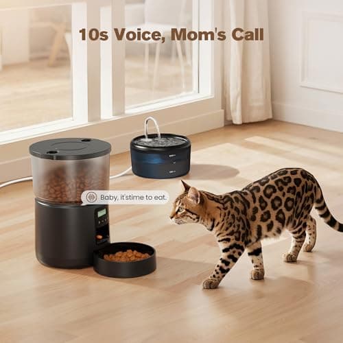 Distributeur Croquettes Chat Automatique Fontaine Eau 2,4L 3L Mangeoire Programmable Noir