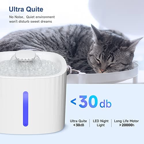 Fontaine à Eau Silencieuse SINZUX pour Chats et Chien, Filtre à Charbon Actif, 3L, Éclairage LED et Niveau d'Eau Évivabl