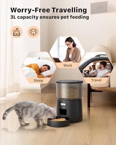 Distributeur de croquettes de chat automatique avec minuterie programmable - 1-6 repas par jour - avec fonction d'enregi