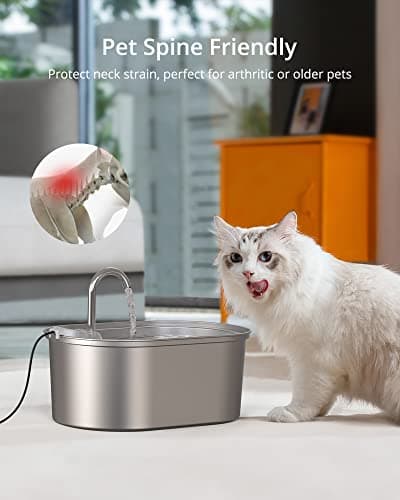 Petace Fontaine à Eau Chat | Acier Inoxydable | 4 Filtres Charbon Remplaçables | Pompe Silencieuse 30dB | 3,2 L | Fontai