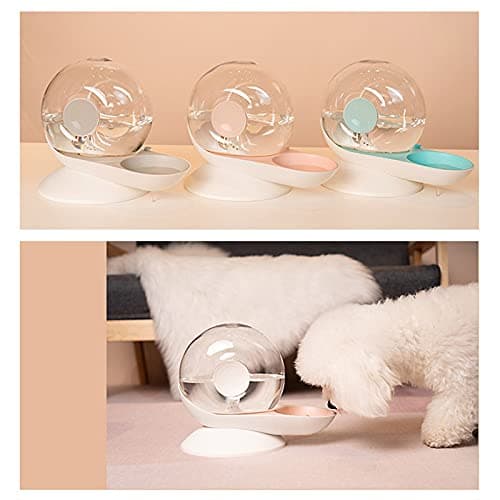 SHOPANTS fontaine à eau automatique pour chats - grand bol - sans électricité - gris