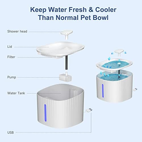 Fontaine à Eau Silencieuse SINZUX pour Chats et Chien, Filtre à Charbon Actif, 3L, Éclairage LED et Niveau d'Eau Évivabl