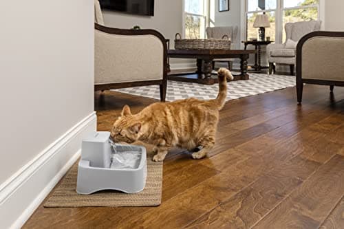 PetSafe Pompe de Remplacement pour Drinkwell Butterfly - 1,8, 3,7, 7,5 litres - Idéal pour Animaux de Compagnie