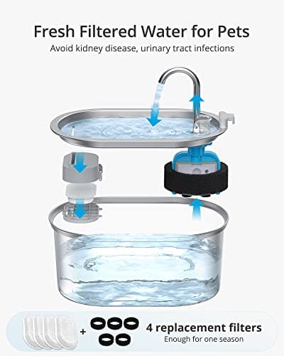 Petace Fontaine à Eau Chat | Acier Inoxydable | 4 Filtres Charbon Remplaçables | Pompe Silencieuse 30dB | 3,2 L | Fontai