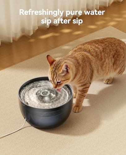 FEELNEEDY Pack de 6 Filtres à Triple Action pour Fontaine à Eau Chat FN-W23 - Meilleure Pureté pour Chatons et Adultes -