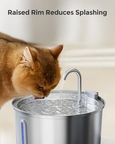 Invengo MeowFlow B40 Fontaine à Eau Chat 3,2 L, Ultra Silencieuse <30 DB, Facile à Nettoyer