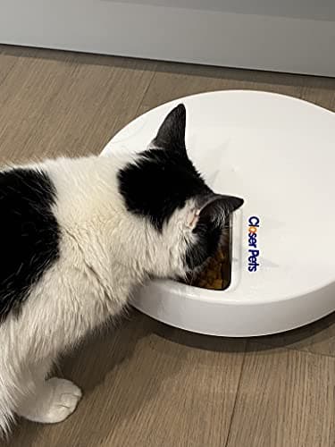 Cat Mate C500 Distributeur Automatique – Fonctionnalités Avancées et Bols INOX, Idéal pour Chats, Adapté à la Nourriture