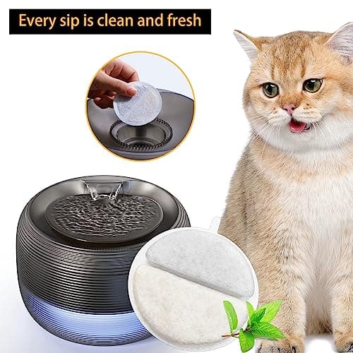 Filtres de Fontaine à Eau pour Chat + Éponges de Rechange 6 Pièces | 2,5 L Compatible F-016B | Entretien Facile pour Fon