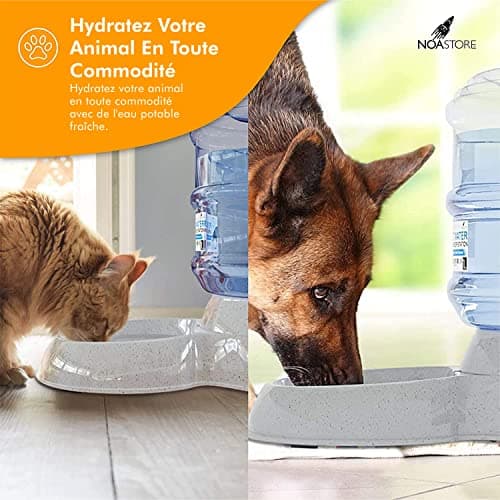 NOA Distributeur d'eau Automatique pour Chat et Chien | 3,8 l - Station d'eau Automatique - Gamelle d'eau pour Animal Do