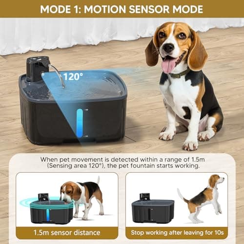 Fontaine d'eau sans fil pour chien | Avec détecteur de mouvement | Batterie 5000mAh | Pompe silencieuse | Filtre à charb