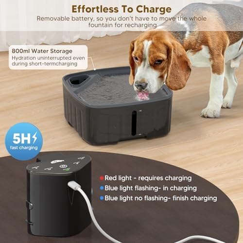 Fontaine d'eau sans fil pour chien | Avec détecteur de mouvement | Batterie 5000mAh | Pompe silencieuse | Filtre à charb