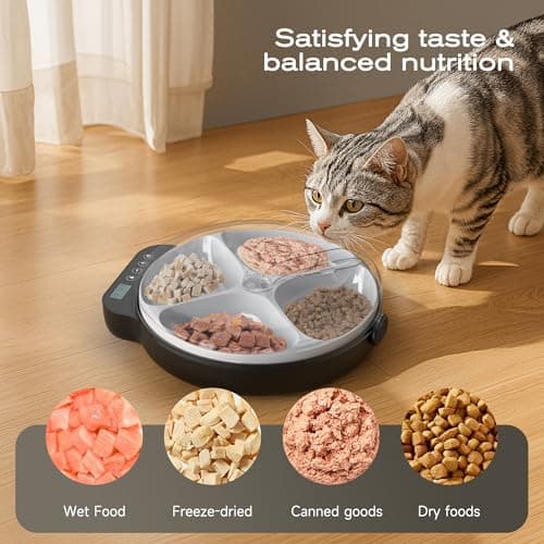 Distributeurs croquettes chat programmables et réfrigérants - 4 repas