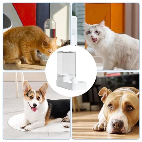 Distributeur Croquettes Chat Automatique, Mangeoire Automatique par Gravité pour Chien et Chat, 3,8 L