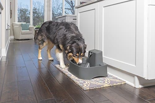 PetSafe Pompe de Remplacement pour Drinkwell Butterfly - 1,8, 3,7, 7,5 litres - Idéal pour Animaux de Compagnie