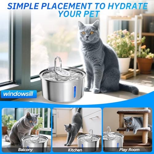 Fontaine à Eau pour Chat Acier Inoxydable Automatique Silencieuse |2L