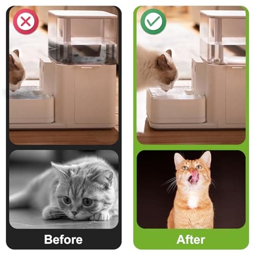 Filtre à Eau PETKIT Eversweet 3 Pro 2,8L Remplacement pour Chat|Caractéristiques|Usage Jour-Nuit|Fluide Purifié|Mousse É
