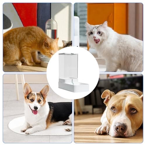 Distributeur Automatique De Croquettes pour Chiens et Chatons | Station Alimentation Voyage Intérieur, Anti-Étouffement